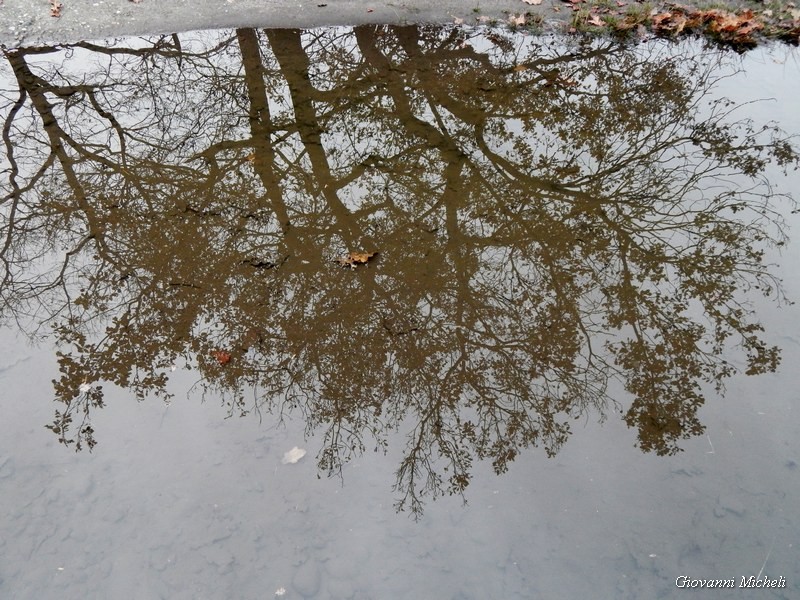 Parco del Ticino 23/11/13